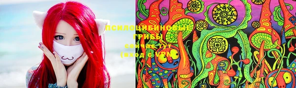 2c-b Абинск