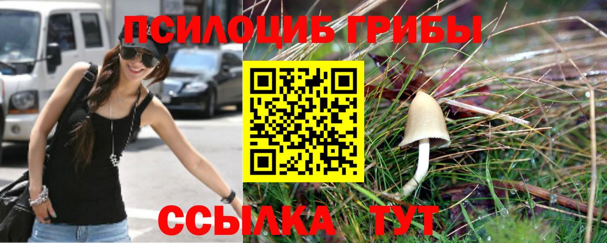 Галлюциногенные грибы прущие грибы  Галлюциногенные грибы Psilocybine cubensis  Каменск-Шахтинский  Вход с VPN 